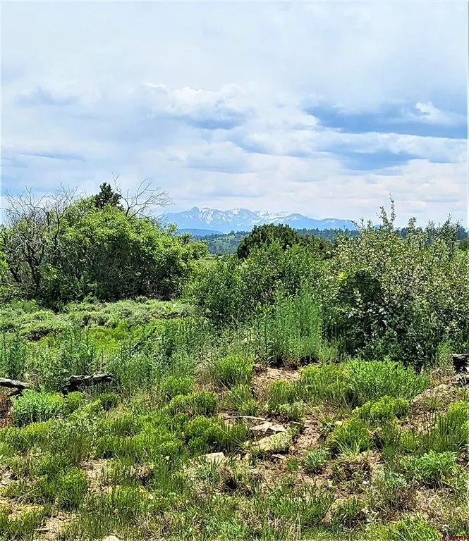 10 North  Reserve Trail Norwood, CO 81423