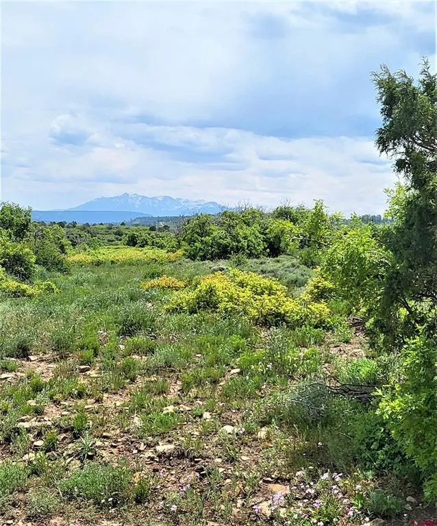 10 North  Reserve Trail Norwood, CO 81423