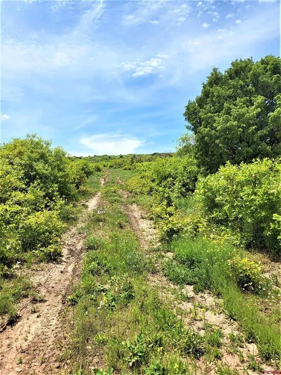 10 North  Reserve Trail Norwood, CO 81423