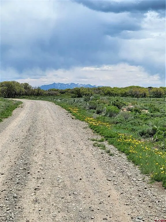 10 North  Reserve Trail Norwood, CO 81423