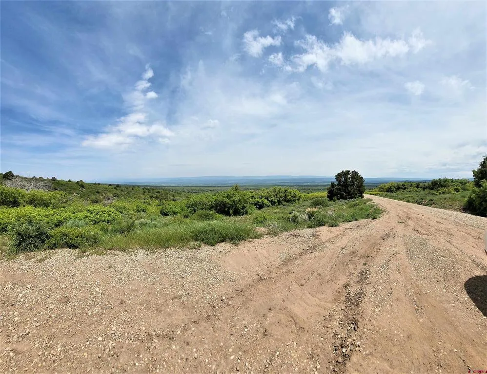 10 North  Reserve Trail Norwood, CO 81423