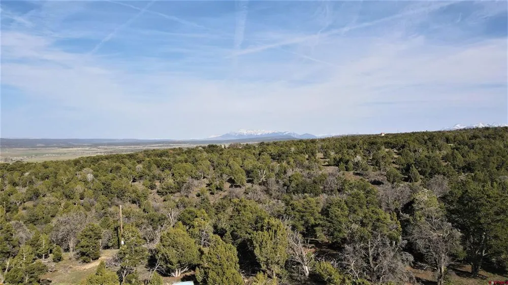 10 North  Reserve Trail Norwood, CO 81423