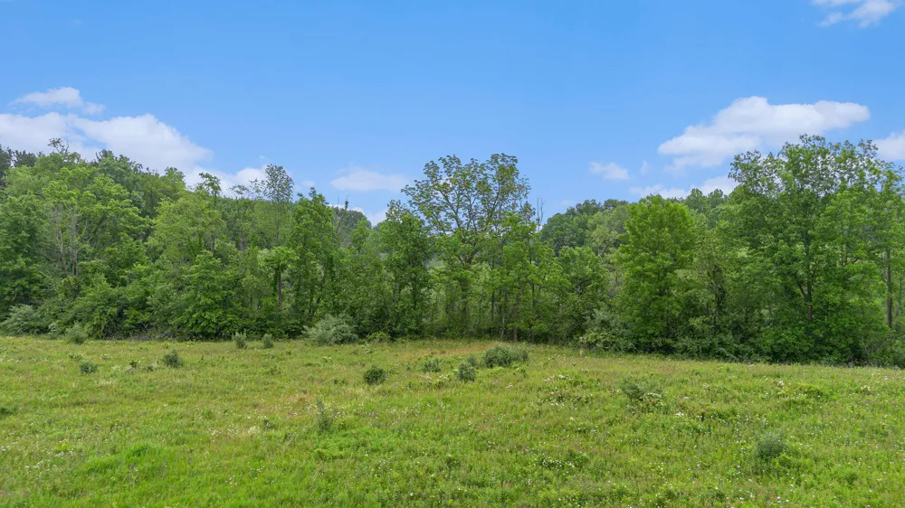 E Clear Lake Road Buchanan, MI 49107