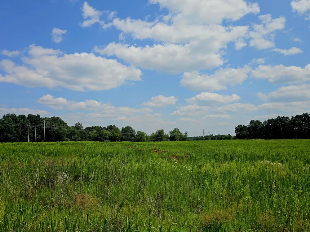 W Carleton Road Jonesville, MI 49250