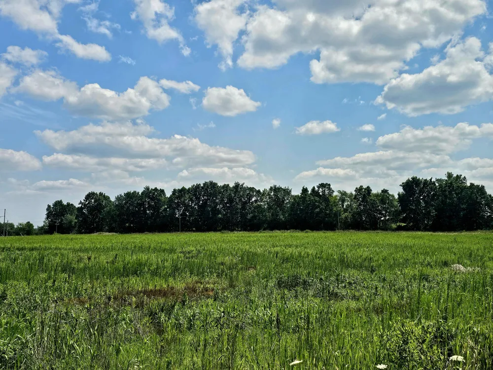 W Carleton Road Jonesville, MI 49250
