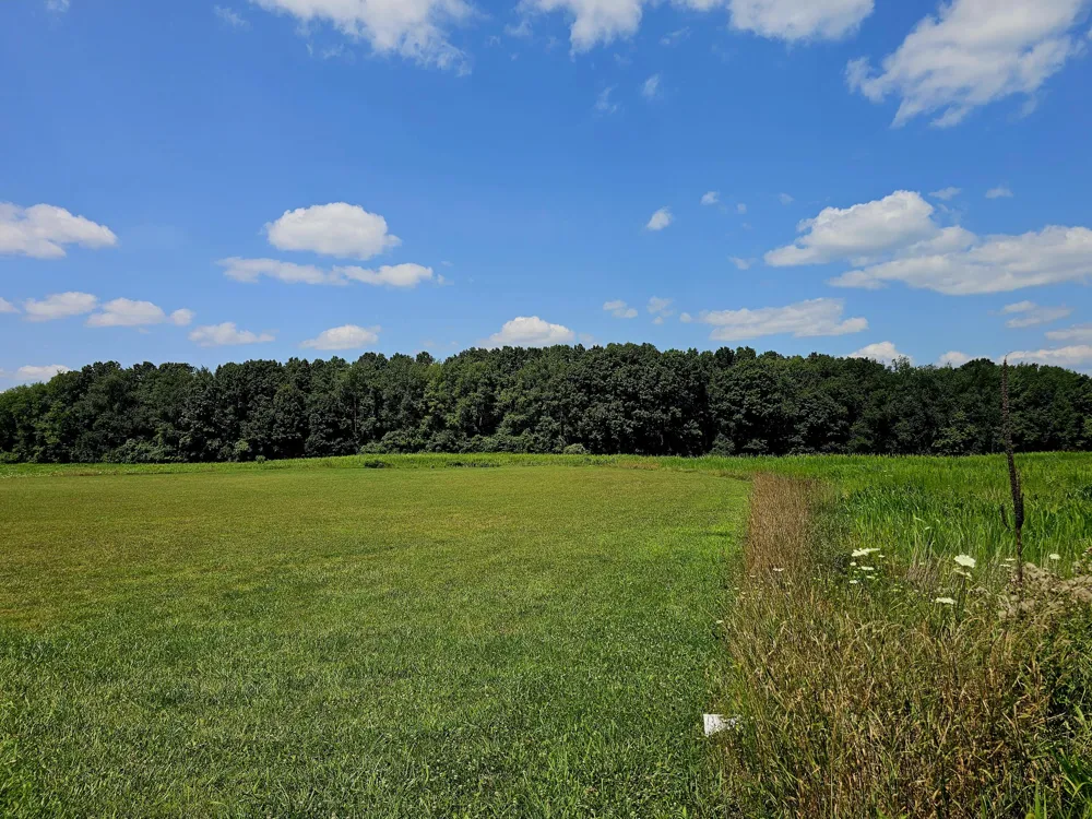 W Carleton Road Jonesville, MI 49250