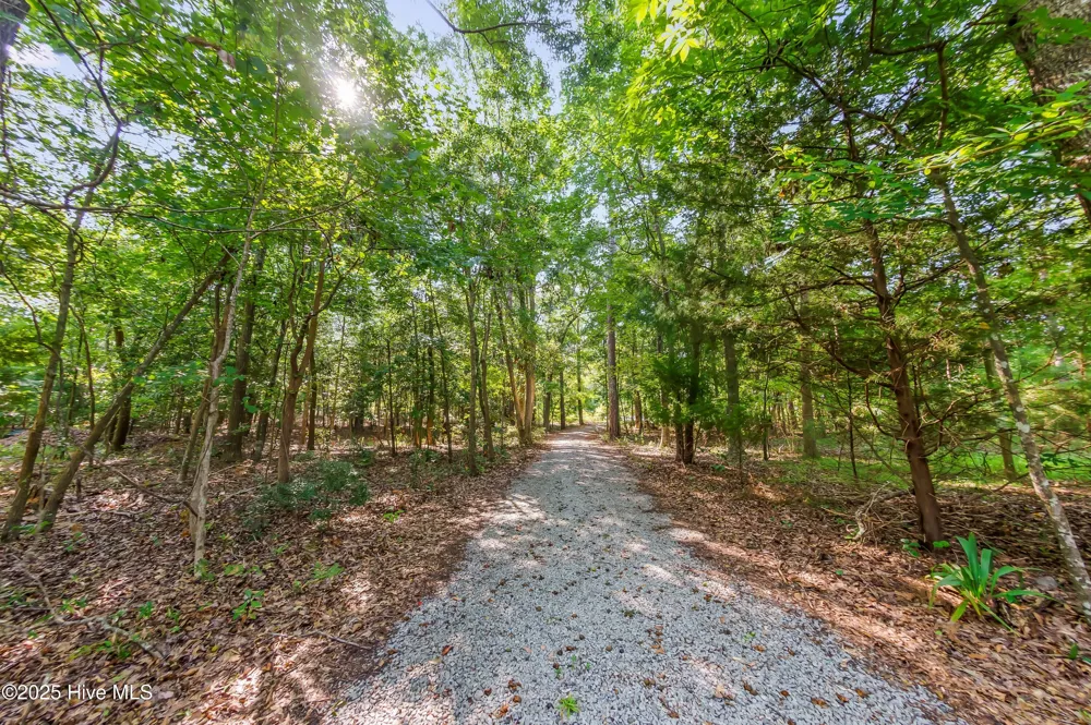 452 Indian Bluff Drive Arapahoe, NC 28510