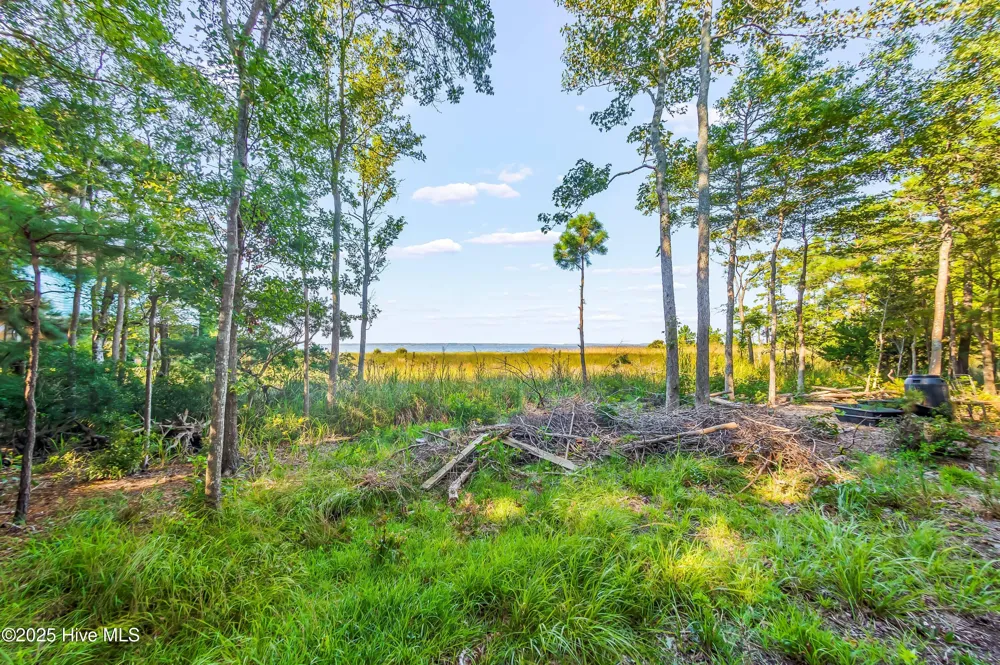 452 Indian Bluff Drive Arapahoe, NC 28510