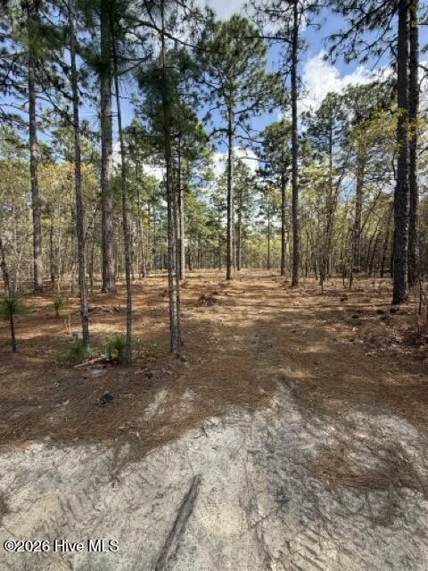 27 Birkdale Way Pinehurst, NC 28374