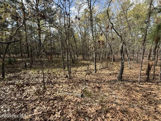 27 Birkdale Way Pinehurst, NC 28374