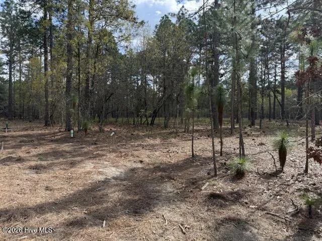 27 Birkdale Way Pinehurst, NC 28374