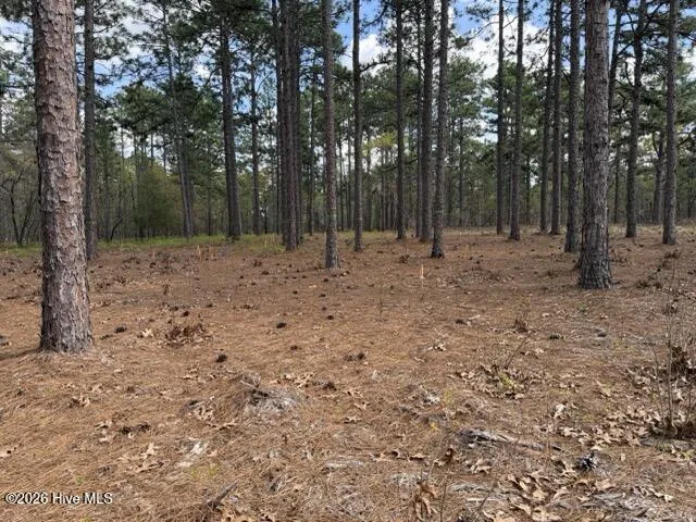 27 Birkdale Way Pinehurst, NC 28374