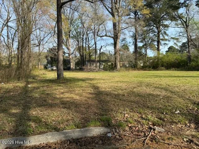 Tbd Hill Street Ahoskie, NC 27910