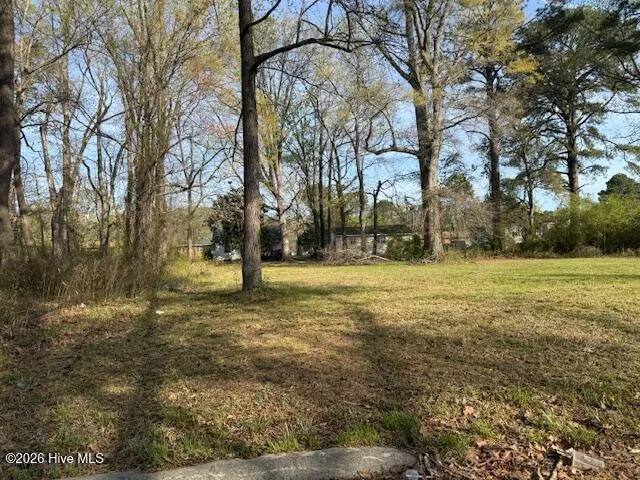 Tbd Hill Street Ahoskie, NC 27910