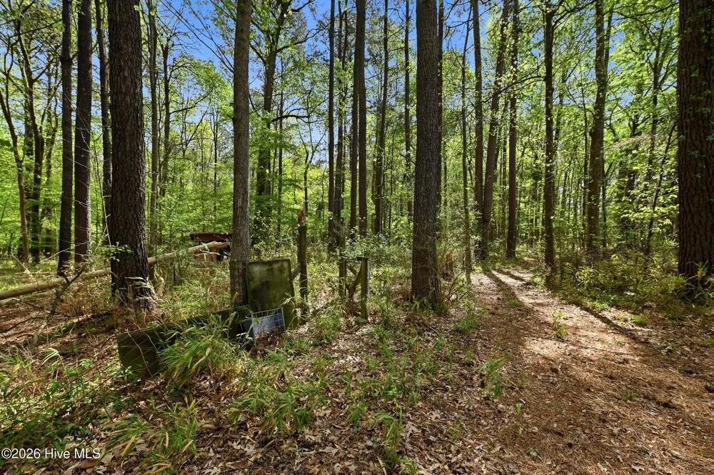 2639 Nc Highway 211 Clarkton, NC 28433