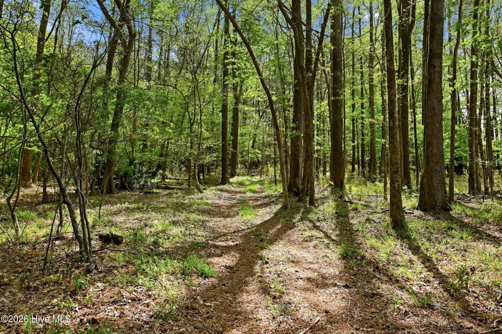 2639 Nc Highway 211 Clarkton, NC 28433