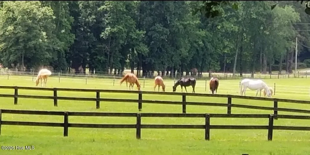 2639 Nc Highway 211 Clarkton, NC 28433