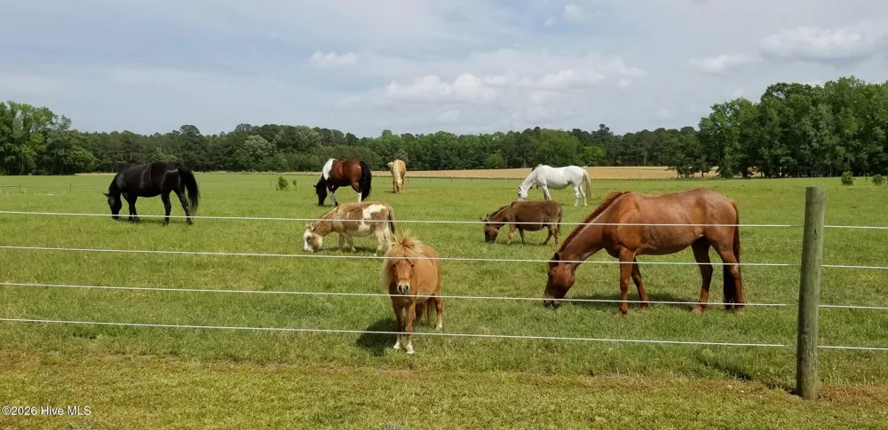 2639 Nc Highway 211 Clarkton, NC 28433