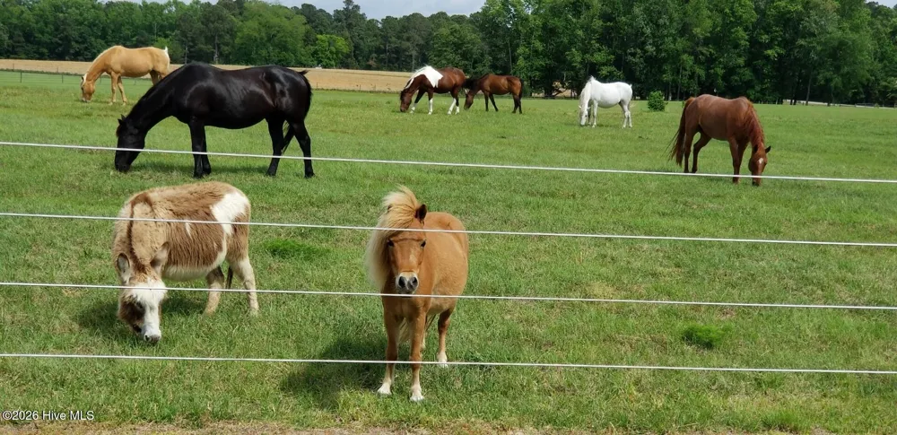 2639 Nc Highway 211 Clarkton, NC 28433