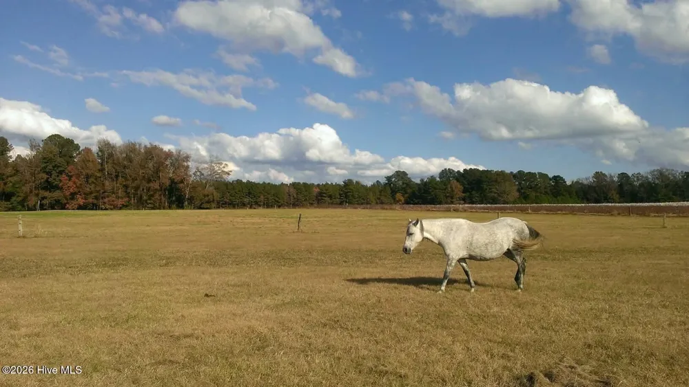 2639 Nc Highway 211 Clarkton, NC 28433