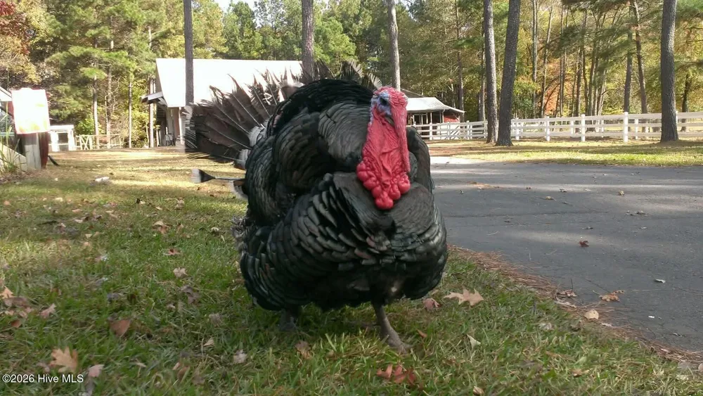 2639 Nc Highway 211 Clarkton, NC 28433
