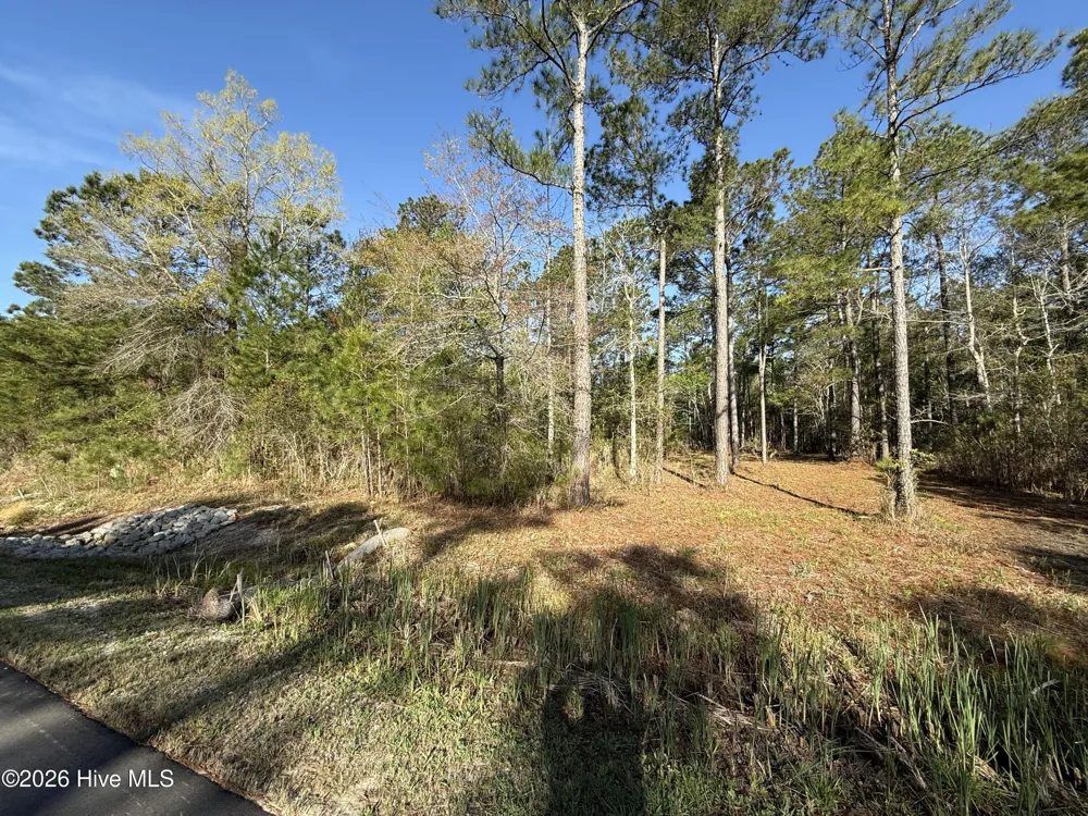 125 Shell Castle Lane Vandemere, NC 28587
