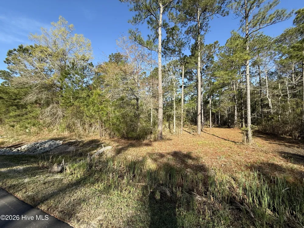 125 Shell Castle Lane Vandemere, NC 28587