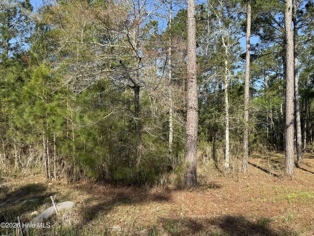 125 Shell Castle Lane Vandemere, NC 28587