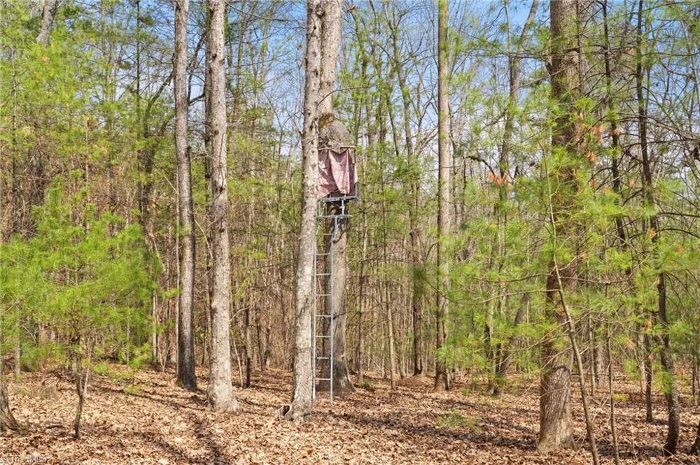 1163 Mills Road Mount Airy, NC 27030