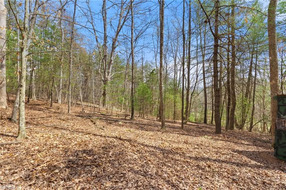 1163 Mills Road Mount Airy, NC 27030