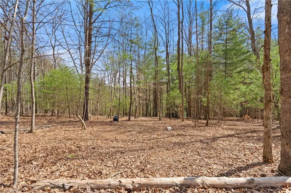 1163 Mills Road Mount Airy, NC 27030
