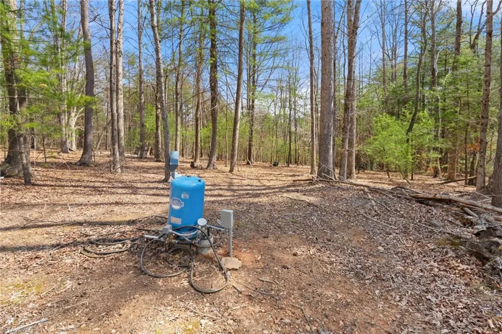 1163 Mills Road Mount Airy, NC 27030