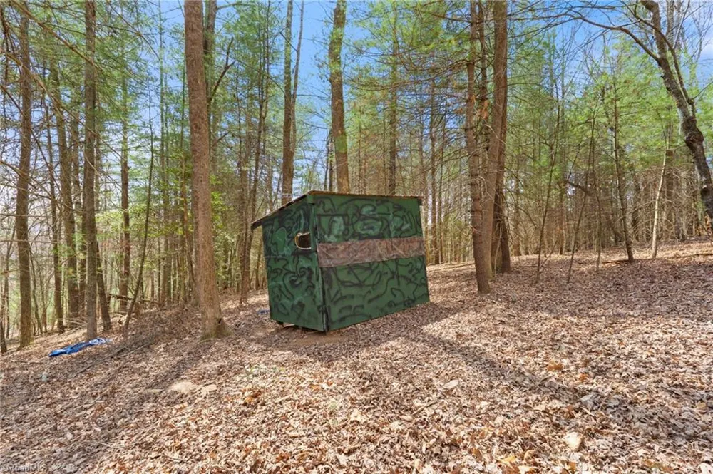1163 Mills Road Mount Airy, NC 27030
