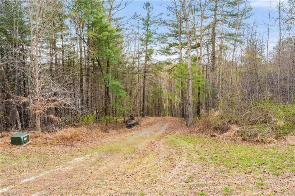 1163 Mills Road Mount Airy, NC 27030