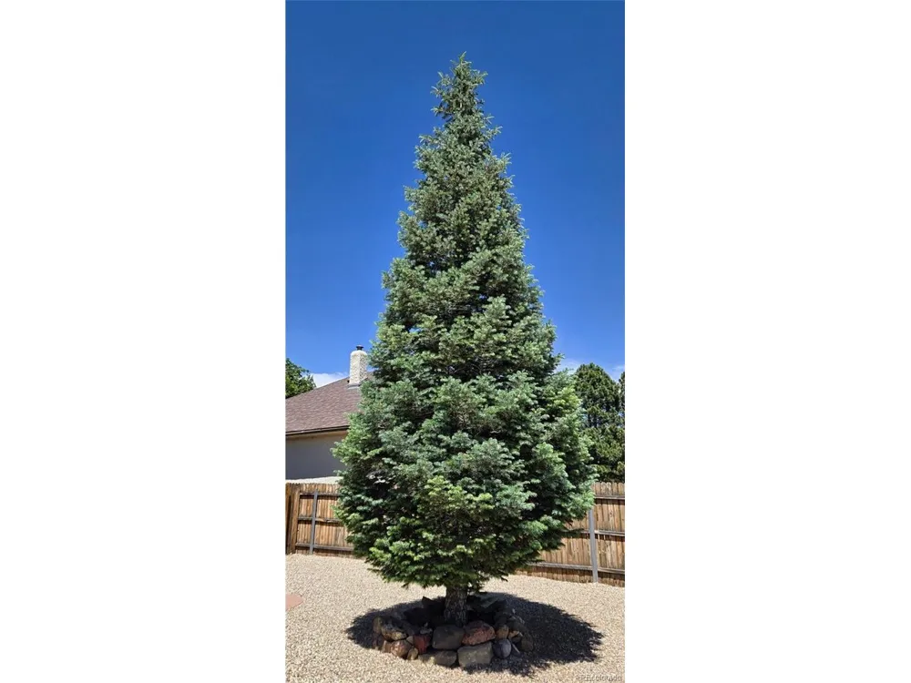 1008 W 7th Street Walsenburg, CO 81089