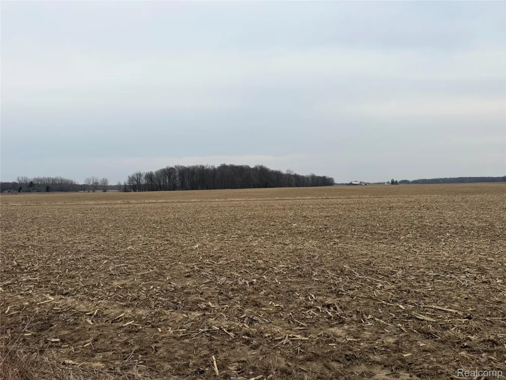 Ringle Juniata Township, MI 48723
