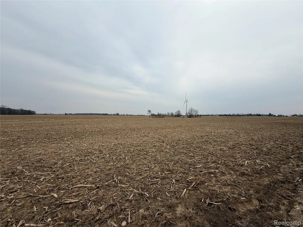 Ringle Juniata Township, MI 48723