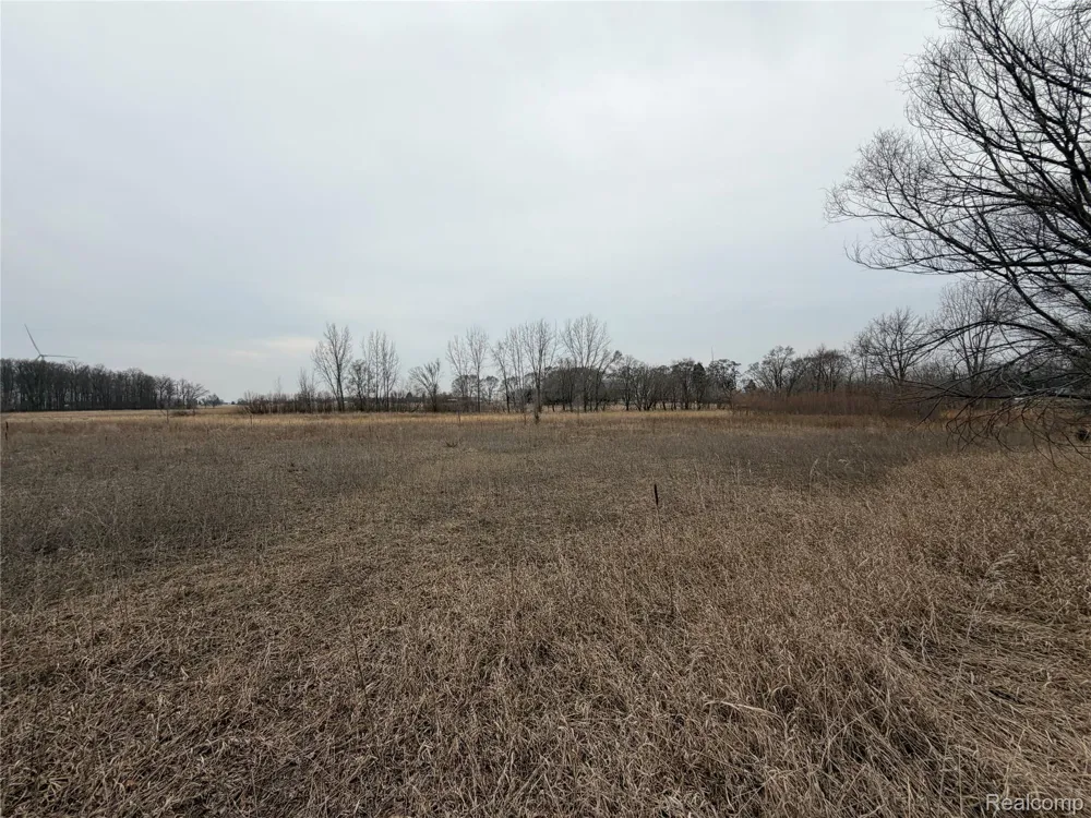Ringle Juniata Township, MI 48723