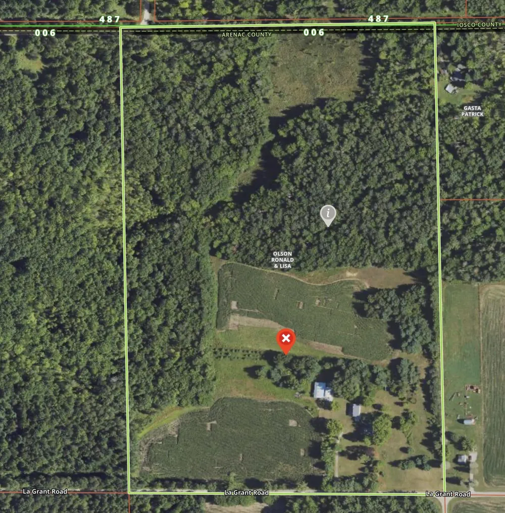 562 Lagrant Road Mason Township, MI 48766
