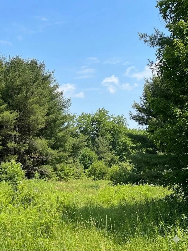 562 Lagrant Road Mason Township, MI 48766