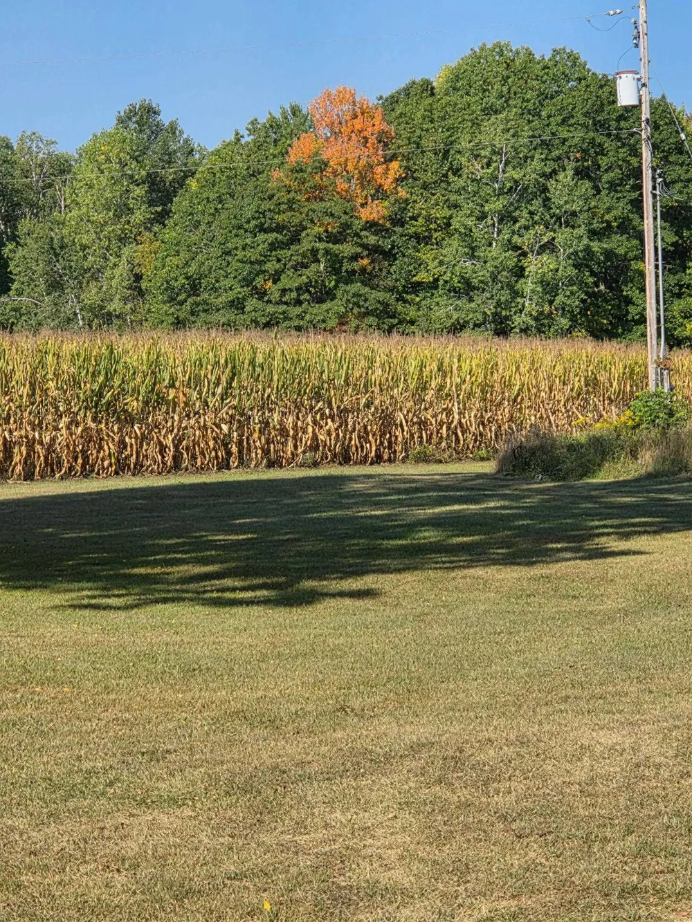 562 Lagrant Road Mason Township, MI 48766
