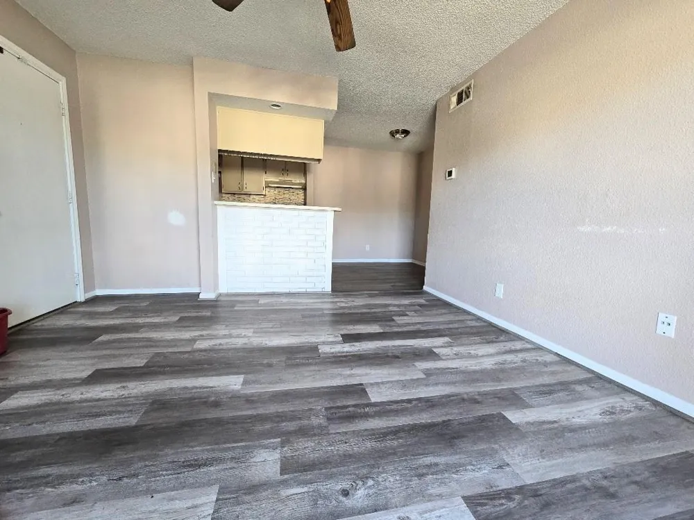 250 El Dorado #296 Webster, TX 77598