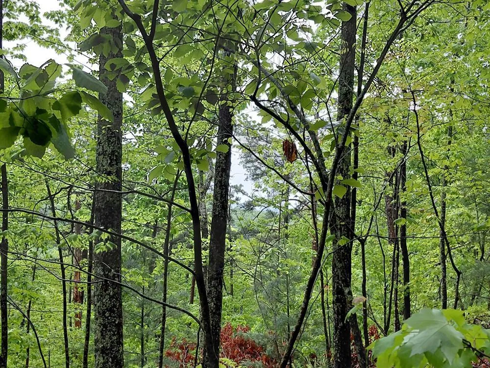 Burning Ember Trail Murphy, NC 28906