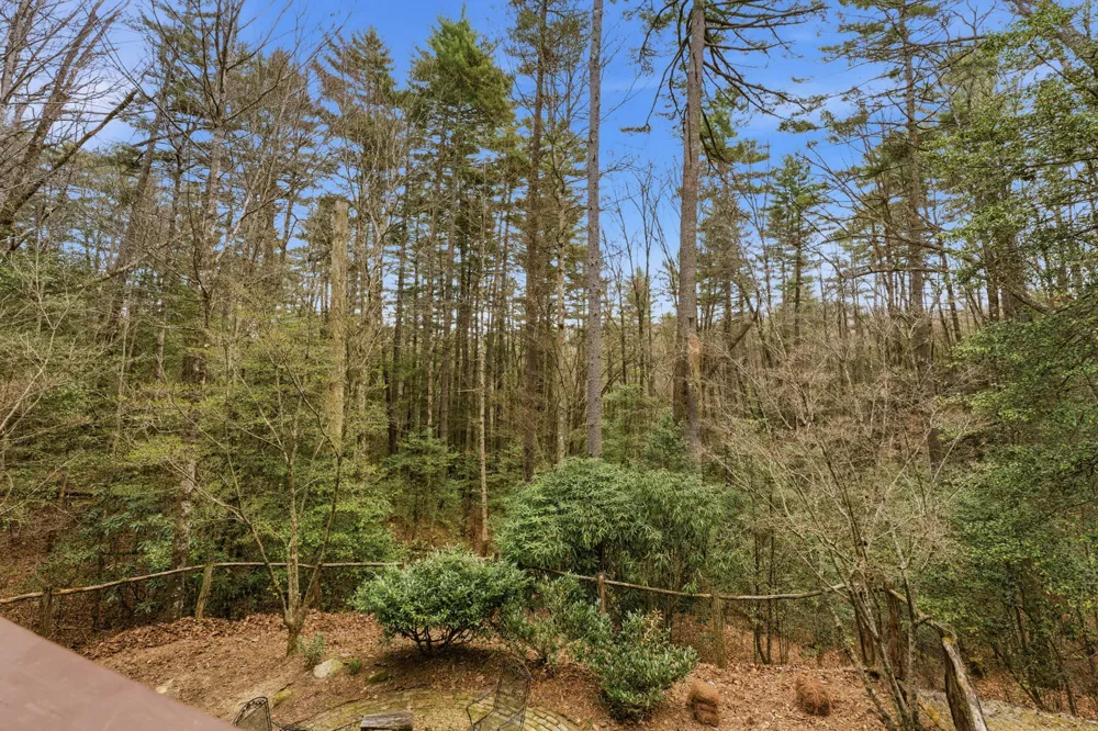 2469 Upper Whitewater Road Sapphire, NC 28774