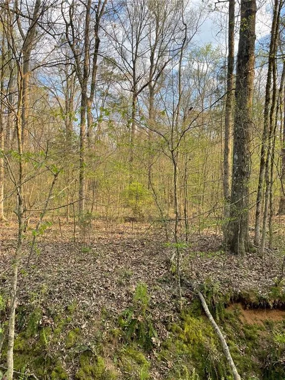 2557 Washington Highway Elberton, GA 30635
