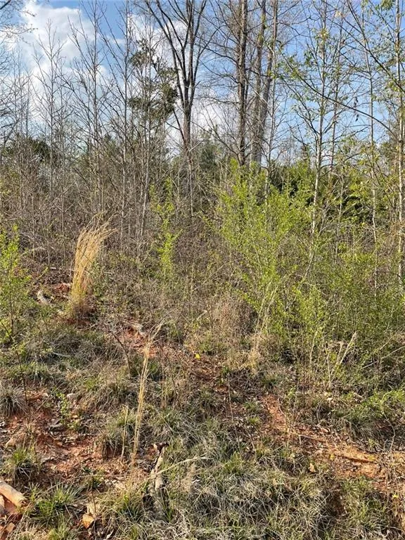 2557 Washington Highway Elberton, GA 30635