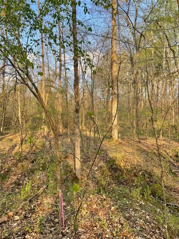 2557 Washington Highway Elberton, GA 30635