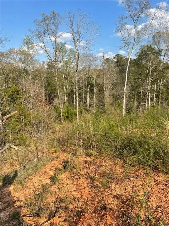 2557 Washington Highway Elberton, GA 30635
