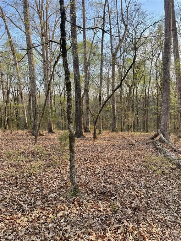 2557 Washington Highway Elberton, GA 30635
