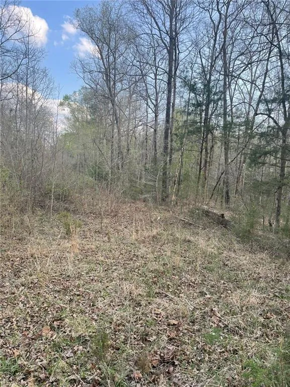 2557 Washington Highway Elberton, GA 30635